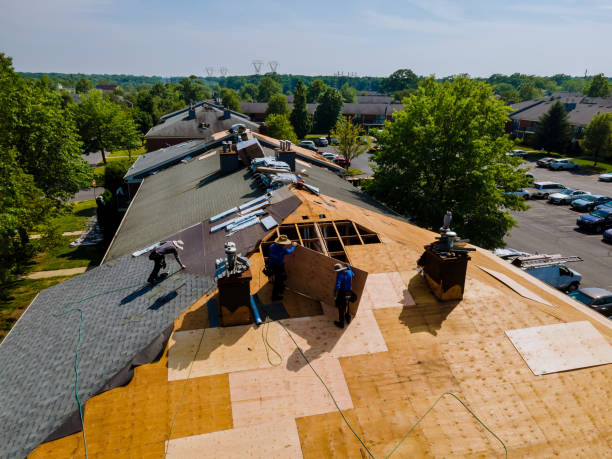 Best Storm Damage Roof Repair  in Ocean Shores, WA